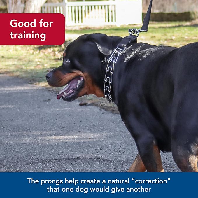 Coastal Pet Titan Easy-On Dog Prong Training Collar with Buckle - Durable Metal Training Collar for Dogs with Side Release Buckle - Black, 3.3 mm x 20".