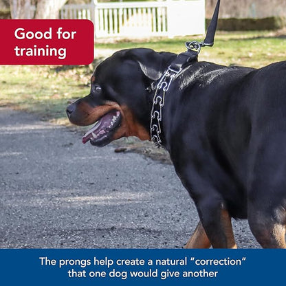 Coastal Pet Titan Easy-On Dog Prong Training Collar with Buckle - Durable Metal Training Collar for Dogs with Side Release Buckle - Black, 3.3 mm x 20".