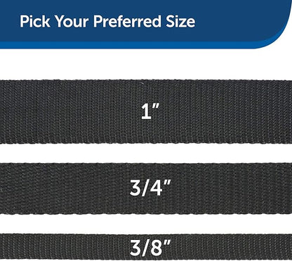 PetSafe Nylon Dog Leash – Strong, Durable, Traditional Style Leash with Easy to Use Bolt Snap for Small, Medium and Large Dogs – 1" x 6', Black