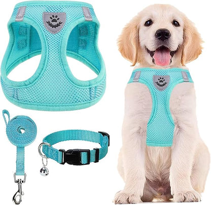 PUPTECK Adjustable Dog Harness Collar and Leash Set Step in No Pull Pet Harness for Small Medium Dogs Puppy and Cats Outdoor Walking Running, Soft Mesh Padded Reflective Vest Harnesses, Turquoise L