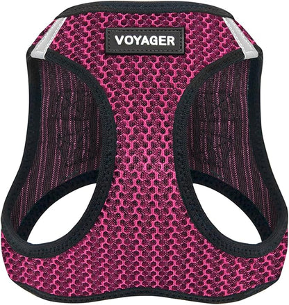 Best Pet Supplies Voyager Step-in Air Harness - All Weather Mesh, Reflective, No Pull Harness for Dogs, Cats - Secure with Hook & Loop Fastener, Buckle, Double D-Rings - Fuchsia 2-Tone, M