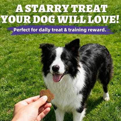 Just Try 15 OZ Blueberry Dog Treats Biscuits Eye Function Immune Support for Dogs Training Treats Healthy Dog Treats