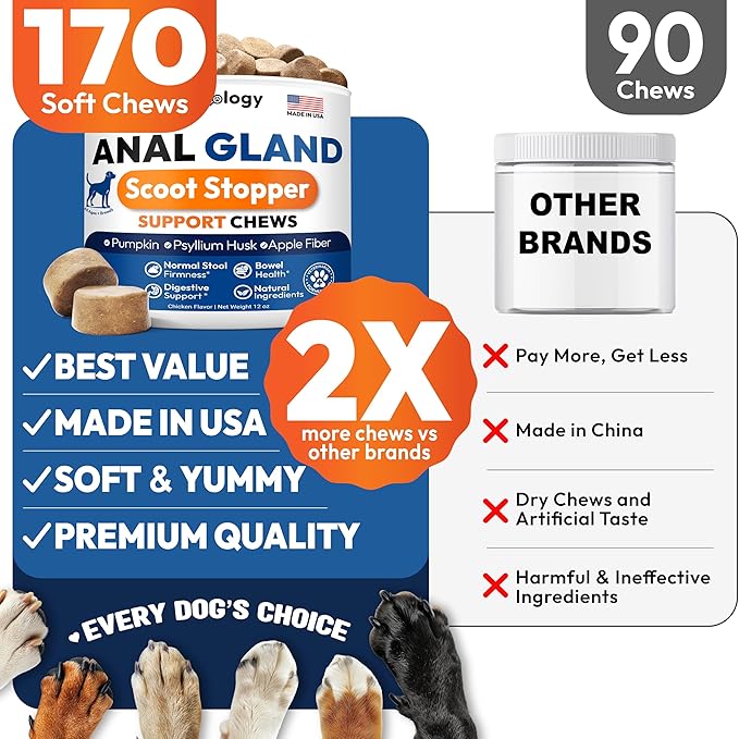 Anal Gland Support Chews for Dogs - 170 Ct - Scoot Treatment - Dog Anal Gland Supplement - Pumpkin, Psyllium Husk, Fiber - Supports Gut Health & Stool Quality - Digestive Enzymes - Made in USA