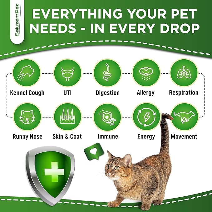 Dog Antibiotics Forte Health | Antibiotics for Cats | Herbal Supplement for All Breeds | for Easy Breathing | Digestion and Urination | Skin & Coat | Chicken Flavor | 2 Oz