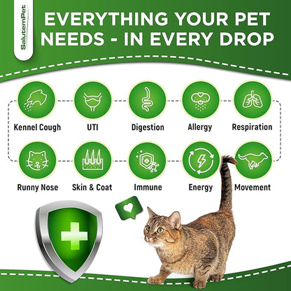 Dog Antibiotics Forte Health | Antibiotics for Cats | Herbal Supplement for All Breeds | for Easy Breathing | Digestion and Urination | Skin & Coat | Chicken Flavor | 2 Oz