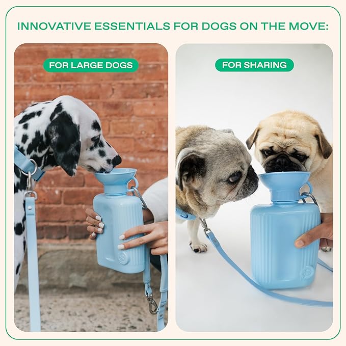 Springer Dog Water Bottle | Portable Travel Water Bottle Dispenser For Dogs - As Seen on Shark Tank | Patented, Leak-Proof Bottles Fill Bowl With Water - Ideal for Walking | BPA-Free 44oz Gray