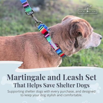 Lucky Love Dog Martingale Dog Collar & Leash - Adjustable, No-Slip, Durable, Comfortable, Soft Webbing, & Stylish Patterned Collar & Leash Set for Male and Female Dogs - Nacho Combo, Small
