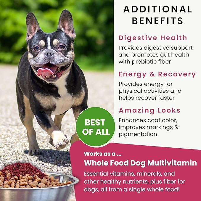 Olewo Original Red Beets for Dogs – Internal Support Dog Food Topper for Skin Sensitivity and Overall Balance, Prebiotic Fiber and Whole Food Nutrients, 5.5 lbs