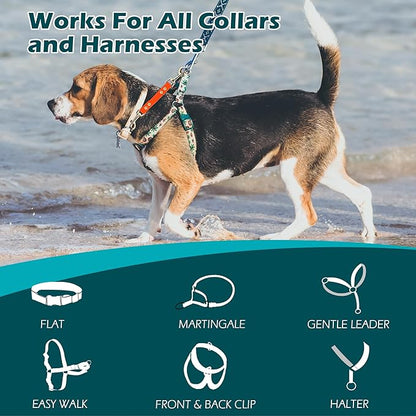 PetBonus Dog Collar Safety Clip, Waterproof Backup Safety Strap for Dog Harness to Prong Collar, Odor Proof Double Ended Clasp Leash Connector for Training Walking (Orange)