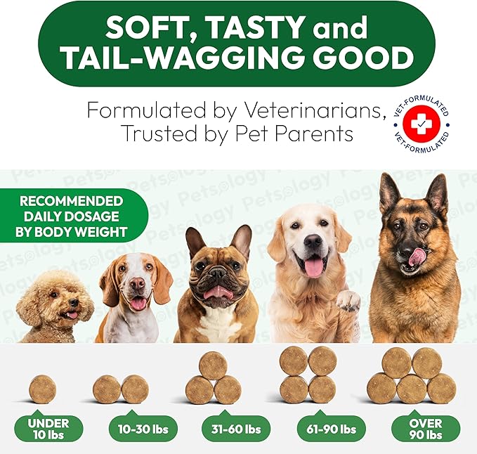 Flea and Tick Prevention for Dogs Pills - 250 Soft Chews - Natural Dog Flea & Tick Control - Oral Defense Treatment for Dogs Supplement - Vet Formulated Chews - All Breeds & Ages - Made in USA