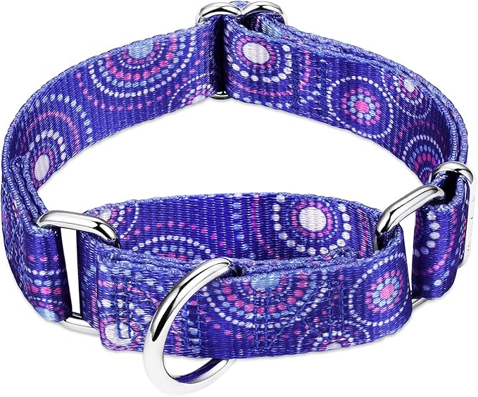 Martingale Collar Dog Collar No Pull Pet Collar Heavy Duty Dog Martingale Collars Silky Soft with Unique Pattern for Medium and Large Dogs (Large, 1 Inch Wide, Firework Dots -Royal Blue)