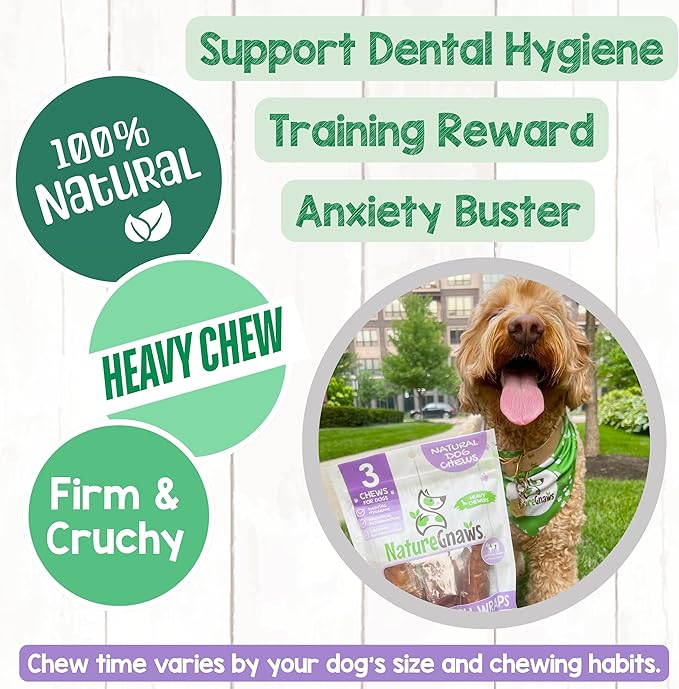 Nature Gnaws Beef Trachea Crunch Wraps for Dogs (3 Count) - Long Lasting Natural Beef Jerky Dog Chew Bones - Rawhide Free