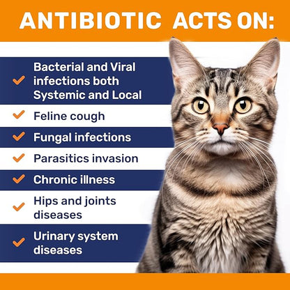 Cat Antibiotic to Help with Cough & Allergies – Antibiotics for Cats to Aid with UTIs and Digestive Moments – Hips & Joints Support – Attractive Chicken Taste – 2 Oz Bottle