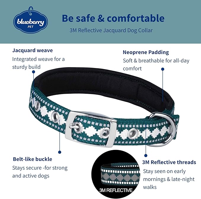 Blueberry Pet Reflective Jacquard Dog Collar with Neoprene Padding & Metal Buckle | Soft & Adjustable Safety Collar - Teal Blue