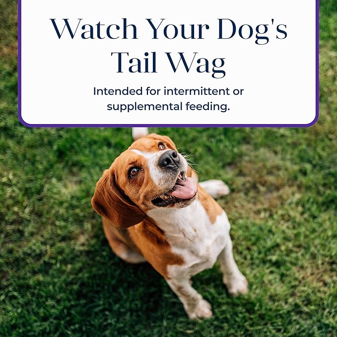 Blue Buffalo Basics Dog Biscuits, Skin & Stomach Care Crunchy Dog Treats, Turkey Recipe, 6-oz Bag