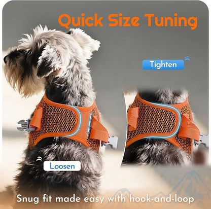 Eagloo Small Dog Harness and Leash Set, Step in Puppy Vest with Breathable Soft Mesh, Walking Reflective Pet Harness for Small Dogs, Orange, XXS