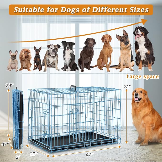 Dog Crate for Large Medium Dogs Folding Dog Kennel Cage with Plastic Tray & Divider 48" Indoor Outdoor Metal Double Door Pet Playpen Heavy Duty Dog Pen Enclosure Blue