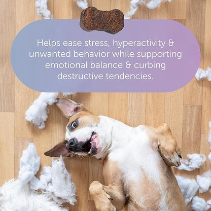 Tranquillium Canine Calming Chews from