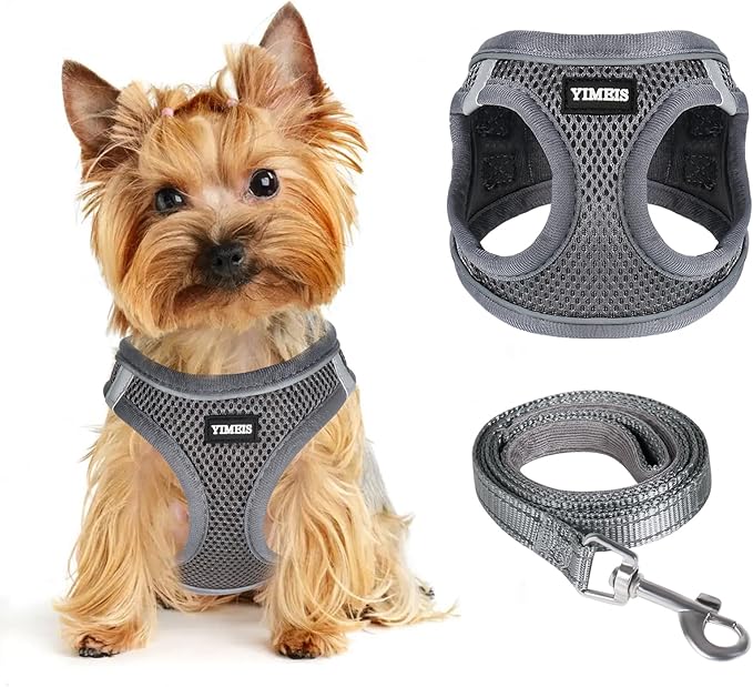 Dog Harness for Small Dogs and Leash Set, Honeycomb Grid, Reflective Lightweight Harness & Anti-Twist Pet Lead (Multi Color, Size: XS-S-M) (S, Grey)