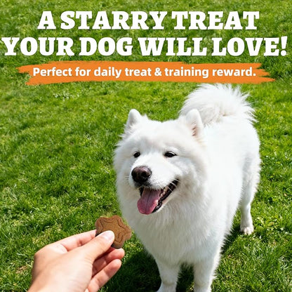 Just Try 40 OZ Pumpkin Dog Treats Biscuits Digestive Support Gut Health Training Treats Healthy Dog Treats