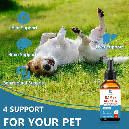 SAMEe for Dogs 500mg Liquid Drops with Silybin – Bacon Liver Flavored Liver Support Supplement for Dogs – S-Adenosyl Methionine & Milk Thistle Extract 60ml (2oz)