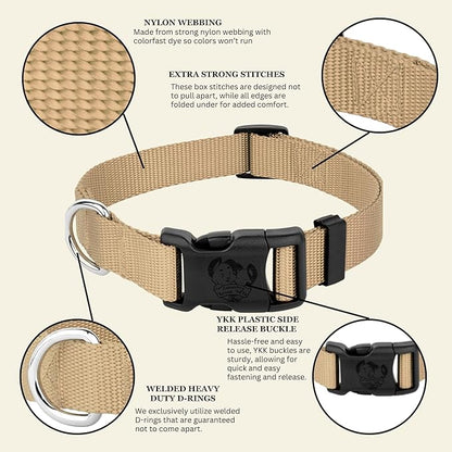 Country Brook Petz - Everyday Nylon Dog Collar for Large, Medium, and Small Dogs and Puppies - for Everyday Use in 10+ Warm Colors (3XS, 3/8 Inch Wide, Copper Gold)