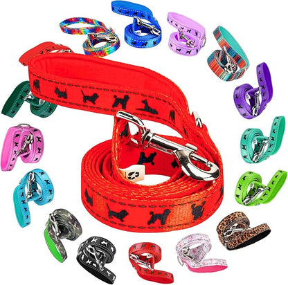 EcoBark Dog Leash - Soft & Reflective Comfort Leashes with Padded Handle - Safe, Strong, & Durable for Small, Medium or Large Dogs (Orange)