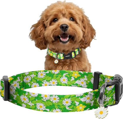 Kazazoo Dog Collar Cute and Soft Nylon Puppy Collar for Boy and Girl, Adjustable Dog Collars for Small Medium Dogs, Green Daisy-S