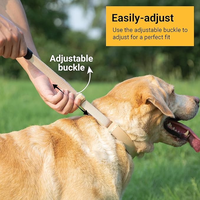 SVD.PET Dog Prong Collar for No-Pull Training, Quick-Release Buckle Adjustable Pinch Collar for Medium Dogs (Tan, Medium Size)