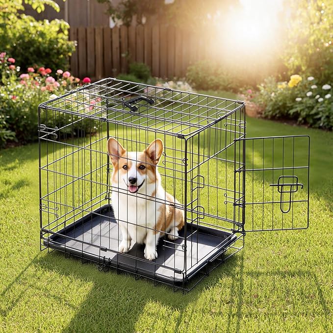 DUMOS Dog Crate, 30 Inch Medium Single Door Dog Cage with Plastic Leak-Proof Pan Tray, Folding Metal Wire Pet Kennel for Indoor, Outdoor, Travel