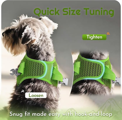 Eagloo Small Dog Harness and Leash Set, Step in Puppy Vest with Breathable Soft Mesh, Walking Reflective Pet Harness for Small Dogs, Green, S
