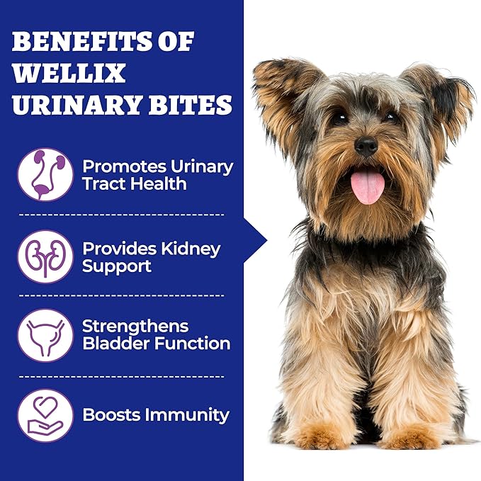 260 Bites Wellix Urinary Bites for Dog UTI Treatment - Cranberry Supplement with D-Mannose Marshmallow Root for Dogs Urinary Tract & Kidney Bladder Support - Chicken Flavor