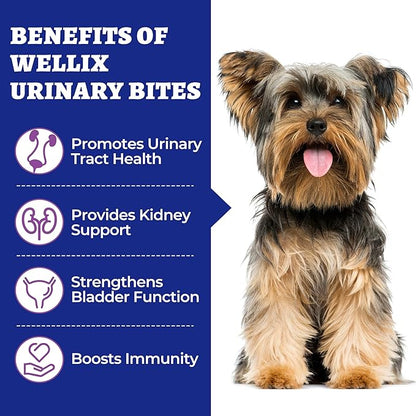 260 Bites Wellix Urinary Bites for Dog UTI Treatment - Cranberry Supplement with D-Mannose Marshmallow Root for Dogs Urinary Tract & Kidney Bladder Support - Chicken Flavor