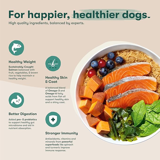 Jinx Premium Dry Dog Food, for All Lifestages - Real Salmon, Brown Rice & Sweet Potato Kibble with Superfoods for Immune Support & Probiotics for Digestive Support - No Fillers - 11.5lb