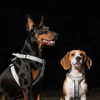 Galaxy Reflective Dog Harness,Adjustable 4-Point Fit,Anti-Pinch Buckles,Back-Clip Control & Emergency Handle,Velvet Lined for Small, Medium and Large Dogs, (Blue, M)