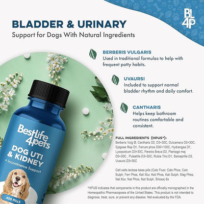 Dog UTI Treatment & Kidney Health Formula – Natural Dog Urinary Tract Supplements to Manage Urine Frequency & Leaks – Bladder Control Support for Urinary Incontinence & Renal Health – 2 Pack