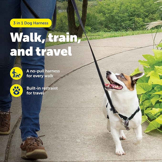 PetSafe 3-in-1 Harness - Comfortable Easy-Walk Dog Chest Harness with Front Leash Attachment to Reduce Pulling, Choking & Gagging - Dog Obedience Gear - Small - Black