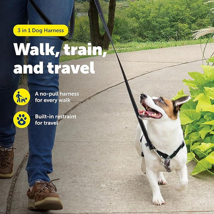 PetSafe 3-in-1 Harness - Comfortable Easy-Walk Dog Chest Harness with Front Leash Attachment to Reduce Pulling, Choking & Gagging - Dog Obedience Gear - Small - Black