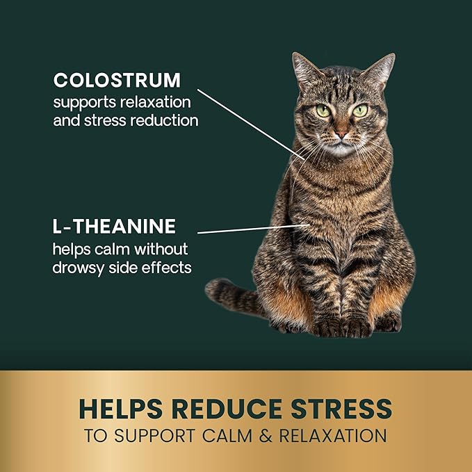 VetriScience Calm & Confident Chews, Composure Calming and Anxiety Supplement for Cats, Reduce Stress and Fear, Ideal for Travel, Vet, Grooming and Routine Changes, Chicken, 30 Count