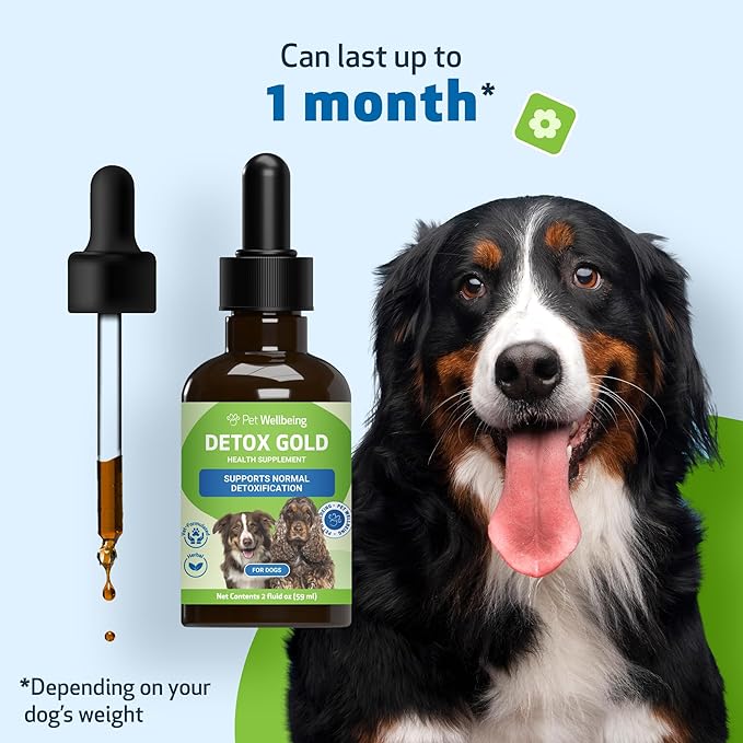 Pet Wellbeing Detox Gold for Dogs - Gentle Detoxification & Elimination Support, Immune System Care, Nettle, Blessed Thistle, Burdock Root - Veterinarian-Formulated Herbal Supplement 2 oz (59 ml)