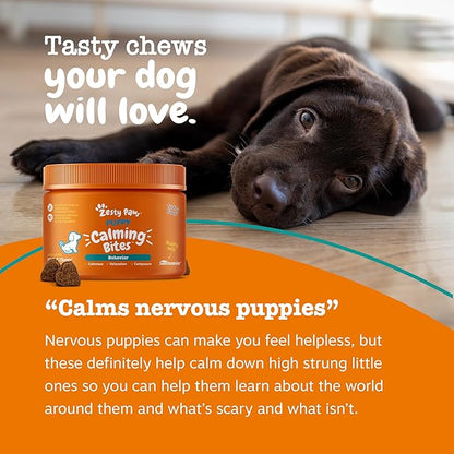 Zesty Paws Calming Chews for Dogs - for Everyday Stress, Relaxation, Composure, and Separation, Puppy Bites Turkey 90 Count