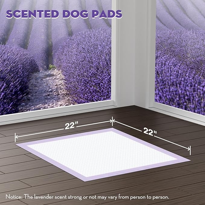 CROCI 22x22in Puppy Pads 100 Count with Adhesive Tabs, Dog Pads Absorbs Up to 3 Cups Potty Training, Disposable