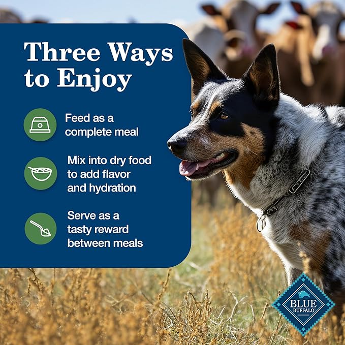 Blue Buffalo Homestyle Recipe Adult Wet Dog Food,Made with Natural Ingredients,Turkey and Lamb Dinner Variety Pack,12.5-oz Cans (,3 of Each),(Pack of 12)