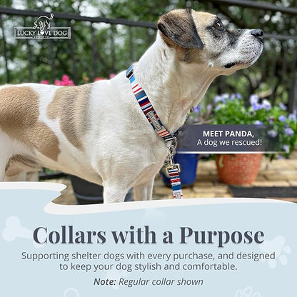 Lucky Love Dog Martingale Dog Collar - Adjustable, No-Slip, Durable, & Soft Webbing Collar for Male and Female Dogs Ideal for Training & Walking - Linus, Small