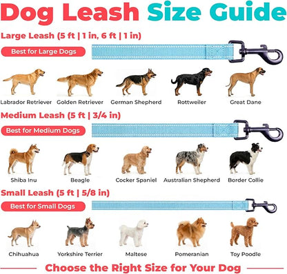 Best Pet Supplies Voyager Reflective Dog Leash or Collar with Neoprene Handle, for Small, Medium, and Large Breed Puppies, Cute and Heavy Duty for Walking, Running and Training - Baby Blue (Leash), M