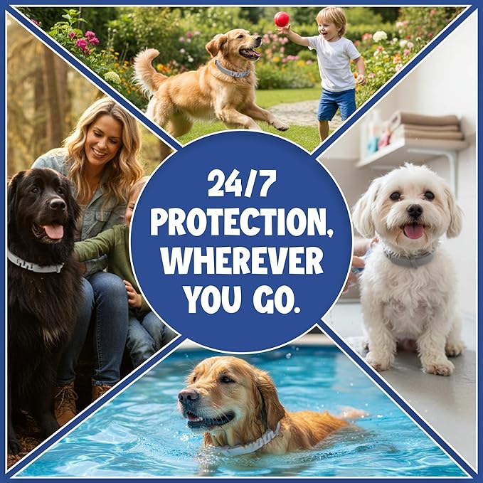 Dog Flea and Tick Collar (2 Pack) – Natural Waterproof Flea Collar for Dogs & Puppies with 8 Month Protection Adjustable Dog Flea Collar Includes Tick Removal Tools & Flea Comb