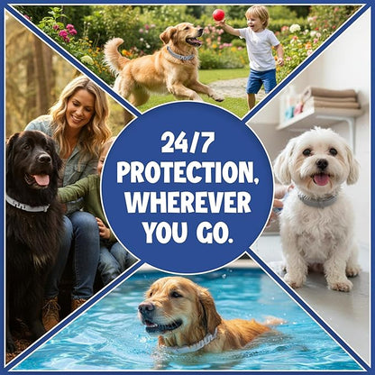 Dog Flea and Tick Collar (2 Pack) – Natural Waterproof Flea Collar for Dogs & Puppies with 8 Month Protection Adjustable Dog Flea Collar Includes Tick Removal Tools & Flea Comb