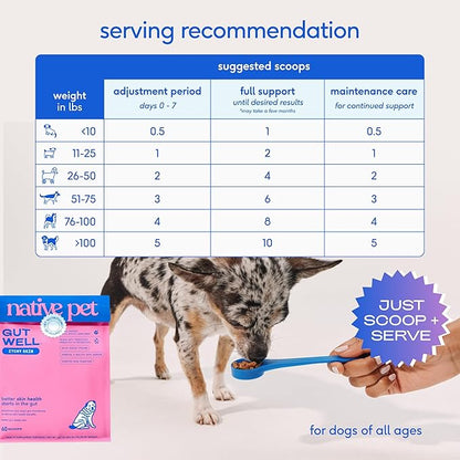 GutWell Itchy Skin - Dog Itching Skin Relief & Seasonal Allergy Itch Relief for Dogs - Promotes Skin Hydration, Elasticity & Healthy Barrier with Triple-biotic Blend, Zinc, & Vitamin E - 120 Scoops