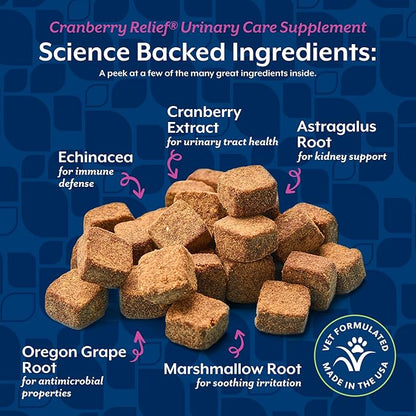 NaturVet – Cranberry Relief Plus Echinacea – Helps Support a Healthy Urinary Tract & Immune System – 60 Soft Chews