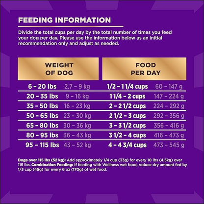 Wellness CORE+ Dry Dog Food with Freeze Dried Pieces, Wholesome Grains, High Protein, Natural, Original Turkey & Chicken Recipe, (20-Pound Bag)